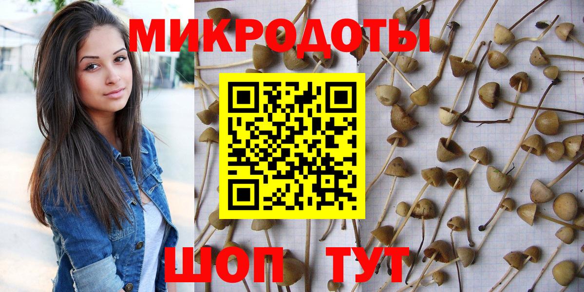 что такое   Псилоцибиновые грибы MAGIC MUSHROOMS  Вход с VPN  Котлас 