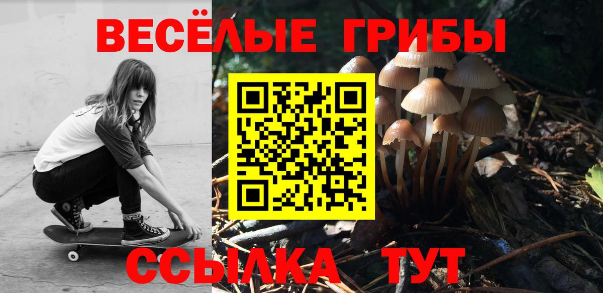 Псилоцибиновые грибы ЛСД Котлас